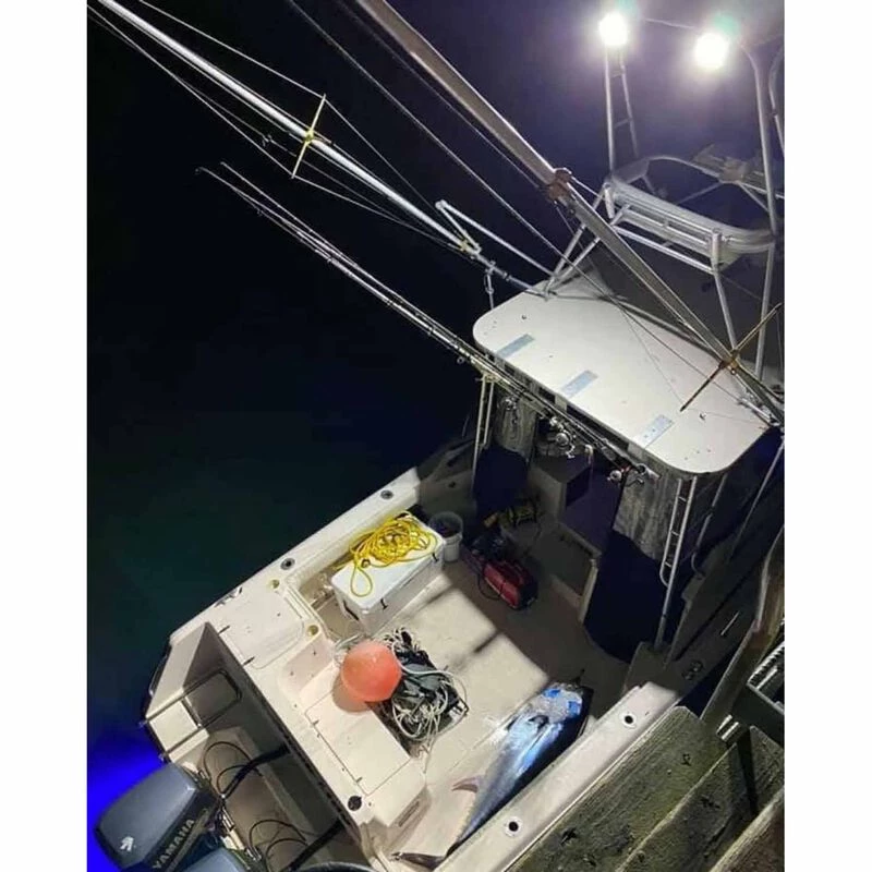 DURABRITE Floodlights Nano Spotlight, Black Housing 3 DURABRITE Floodlights Nano Spotlight, Black Housing - Image 3