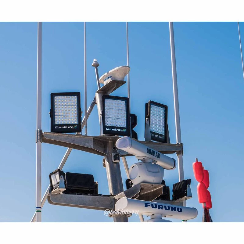 DURABRITE Floodlights Standard Series Spotlight, Black Housing 2 DURABRITE Floodlights Standard Series Spotlight, Black Housing - Image 2