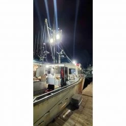 DURABRITE Floodlights Standard Series Floodlight, White Housing -Lighting Sales Shop 20518106 3