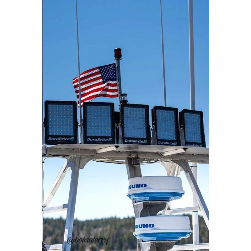 DURABRITE Floodlights Pro Series Spotlight, Black Housing 2 DURABRITE Floodlights Pro Series Spotlight, Black Housing - Image 2