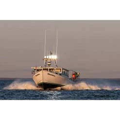 DURABRITE Floodlights Pro Series Spotlight, Black Housing 5 DURABRITE Floodlights Pro Series Spotlight, Black Housing -Lighting Sales Shop 20518148 3