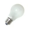 ANCOR Replacement Bulbs Standard Screw-Base Bulbs